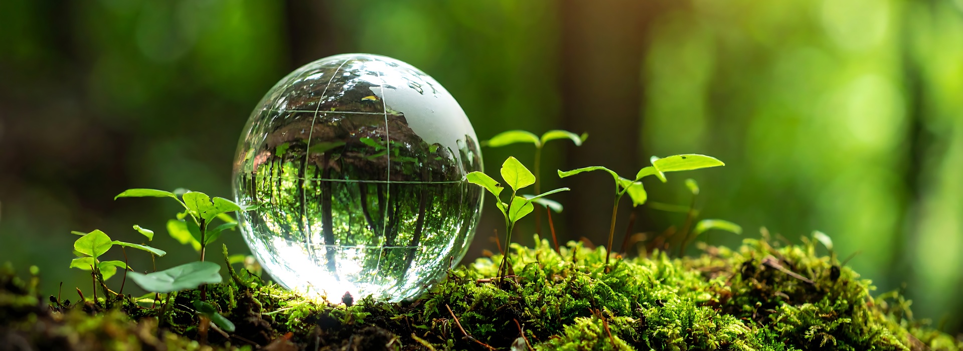 Transparant, toekomstgericht en duurzaam vermogensbeheer