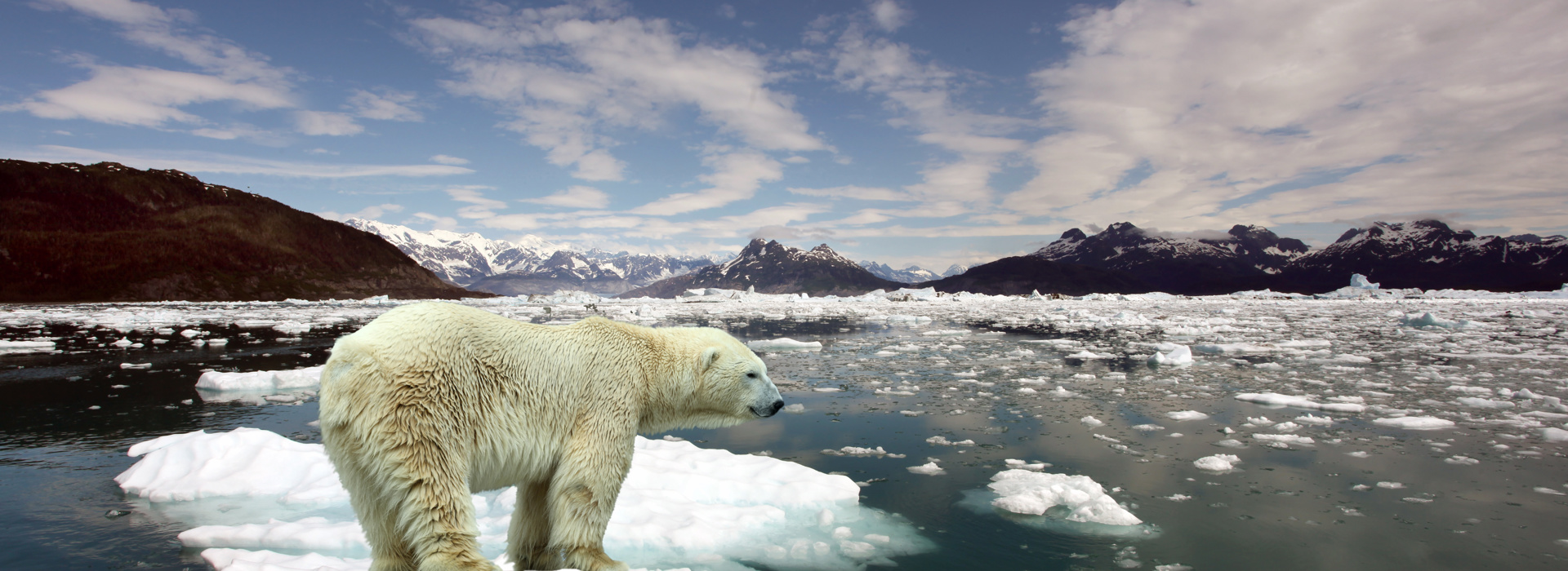 Klimaatgericht beleggen bij a.s.r.