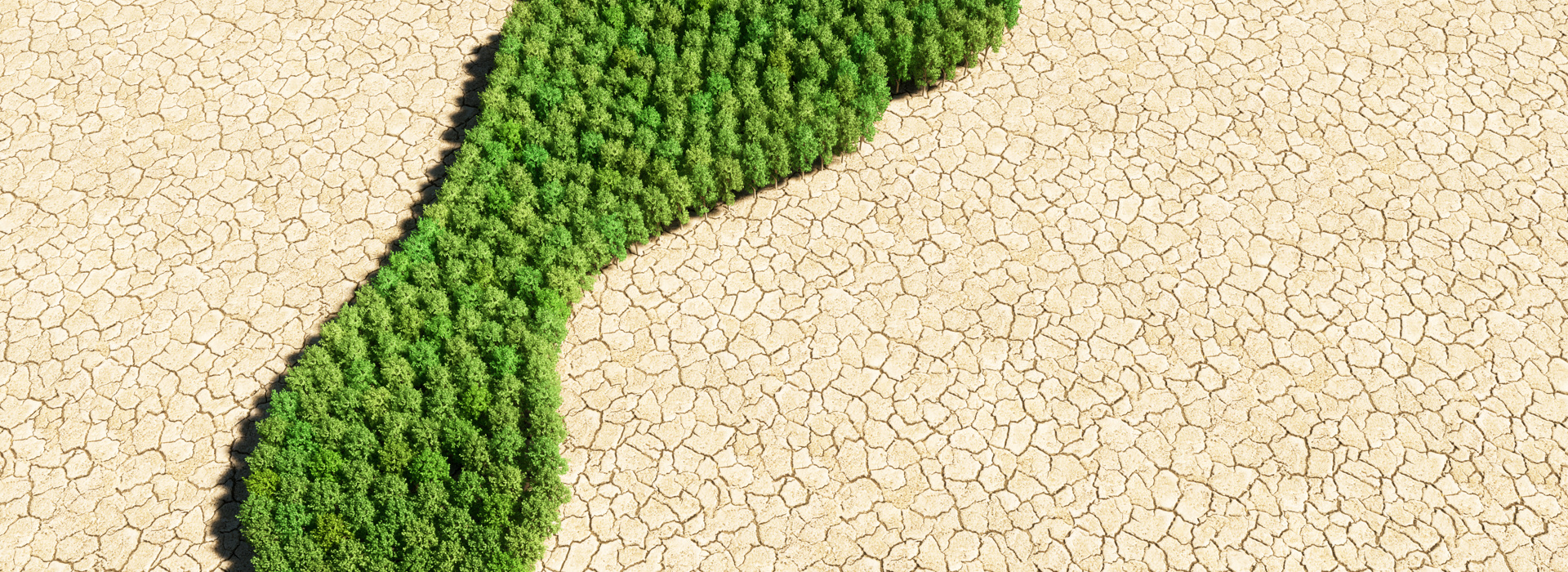 Klimaatjargon, wat betekent het allemaal?