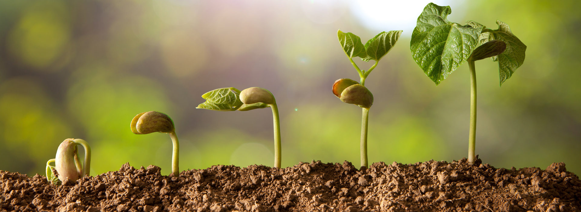 a.s.r. investeert in artikel 9-duurzaamheidsfonds AgriFood Growth Fund, Convent Capital 