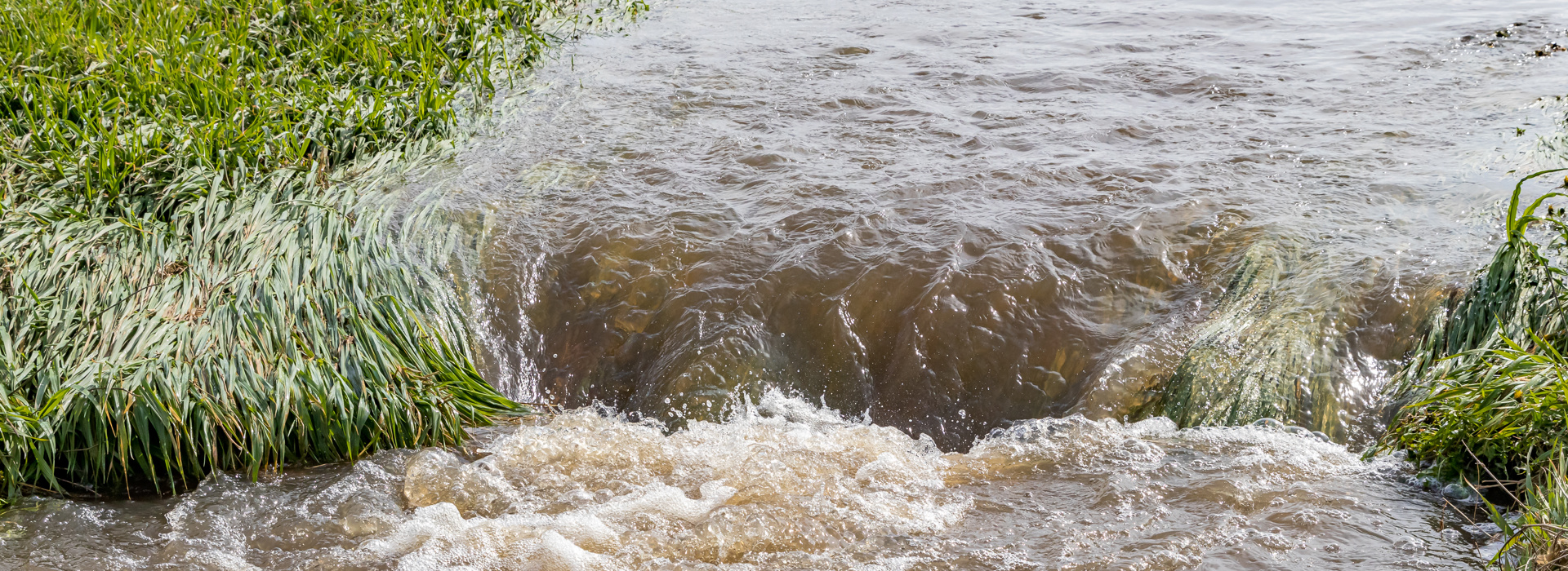Waterstress: een groeiende zorg