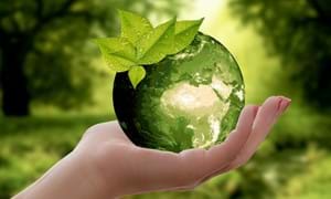 Afbeelding Duurzaam Q1 Rapport 2020 Groen