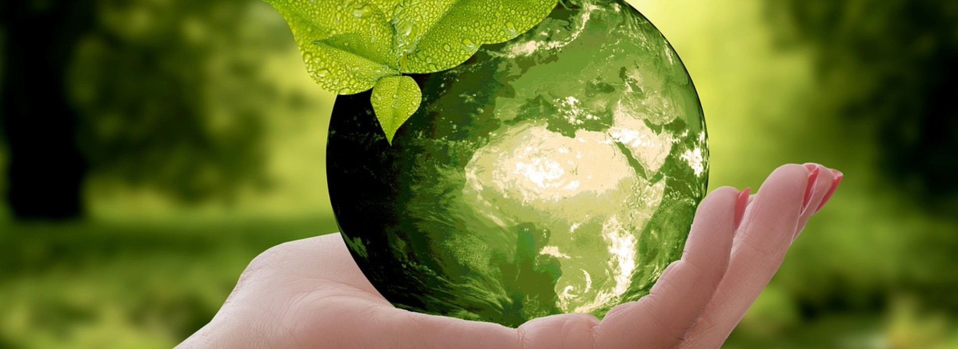 Uitgesloten landen en bedrijven