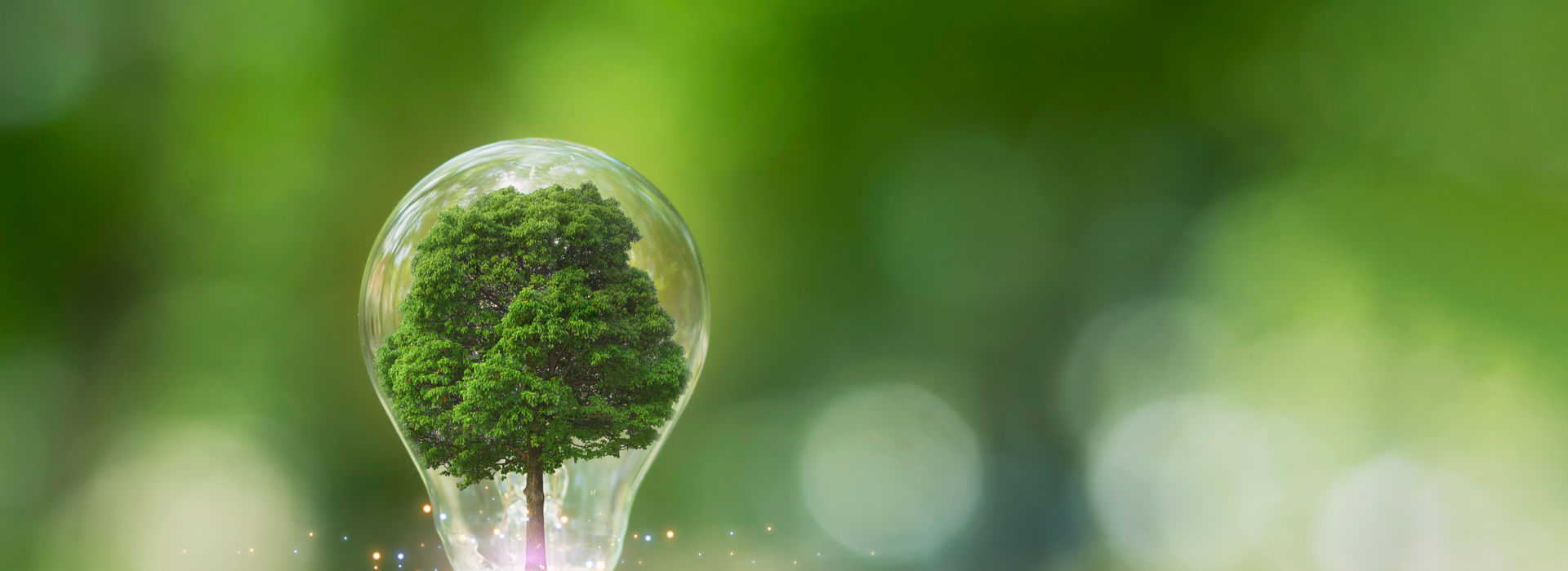 Energietransitie: aanpassingsvermogen en impactbesef