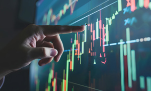 Staatsobligaties stalen de show in 2025