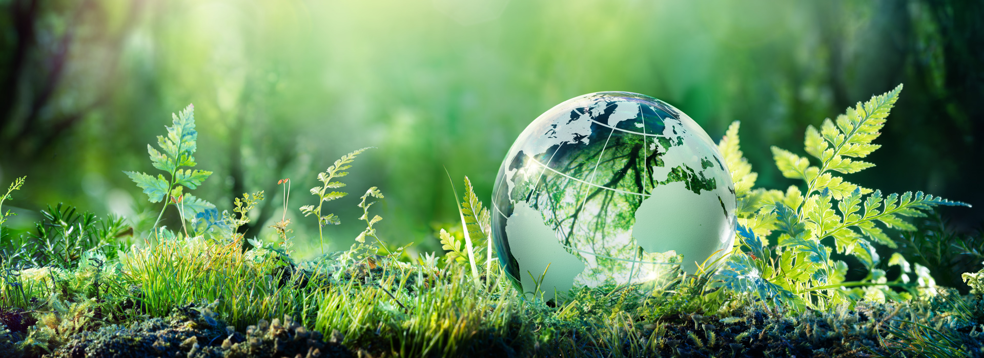a.s.r. plaatst kanttekeningen bij conclusies Eerlijke Geldwijzer over klimaatplannen