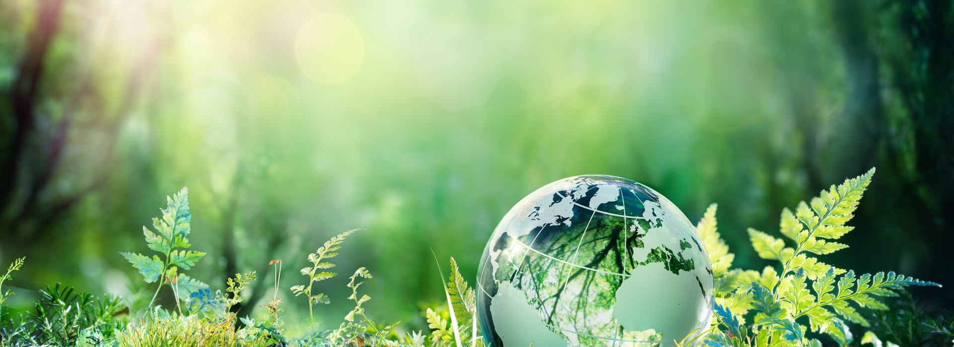 Kwartaalrapport Q1 2021