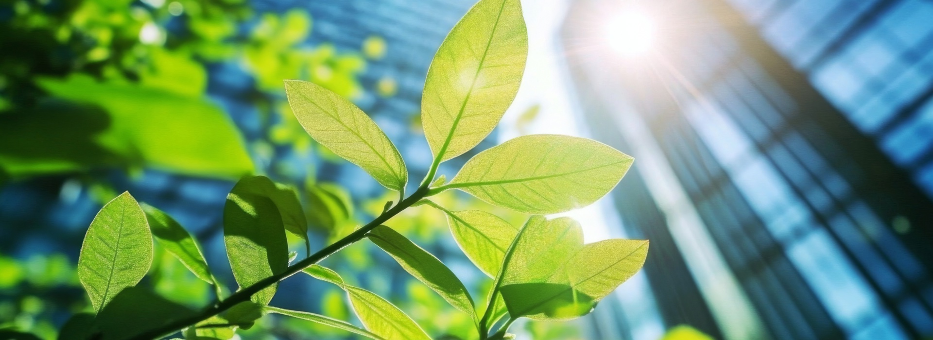 Stembeleid en stemverslag