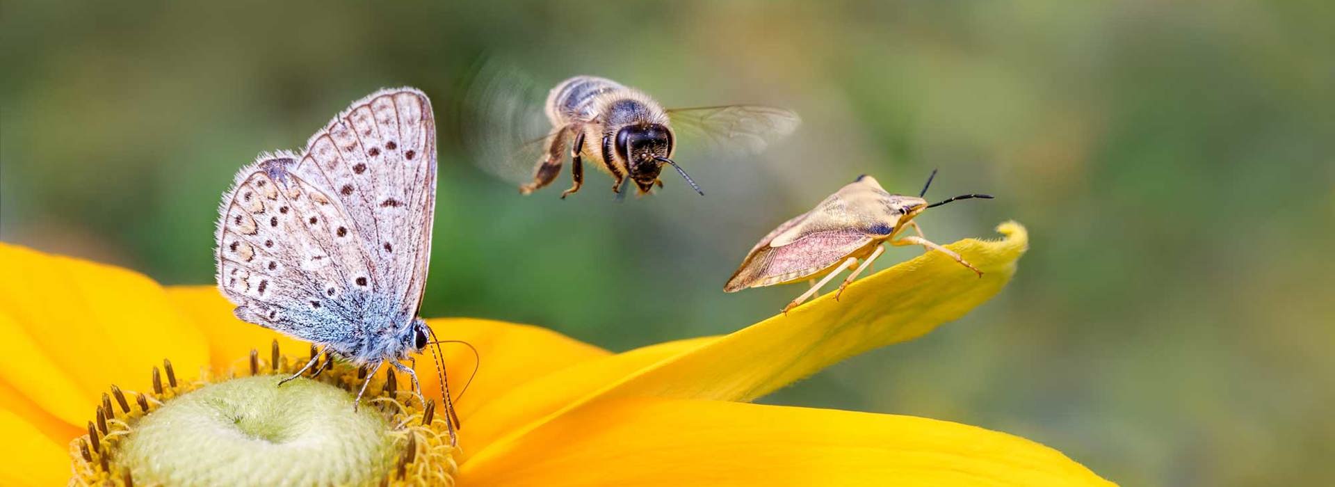 Juli 2021: een goed begin van het tweede halfjaar